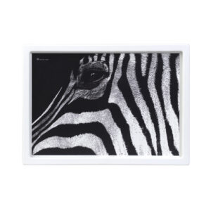 Poslužavnik (zebra)